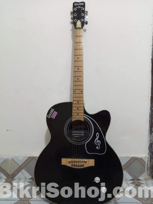 Giveson guitar